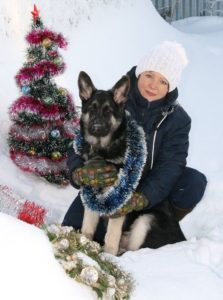 вео, кобель, восточноевропейская овчарка, питомник, жрец любви из новой империи