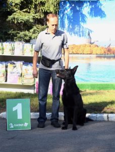 вео, восточноевропейская овчарки, черные ВЕО, овчарка