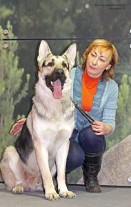 вео, кобель, восточноевропейская овчарка, питомник, центурион из новой империи, Гранд Чемпион
