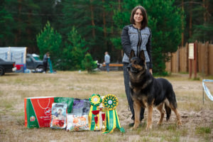 вео, кобель, восточноевропейская овчарка, питомник, оптимист фреди из новой империи
