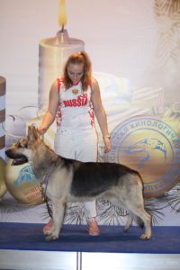 вео, кобель, восточноевропейская овчарка, питомник, центурион из новой империи, Гранд Чемпион