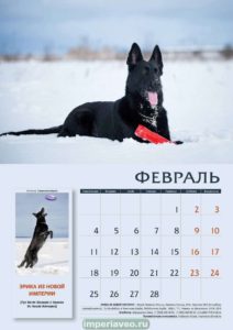 вео, восточноевропейская овчарки, черные ВЕО, овчарка, эрика из новой империи