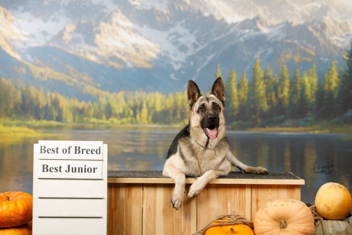 ХАРРИС ИЗ НОВОЙ ИМПЕРИИ — Юный Чемпион России