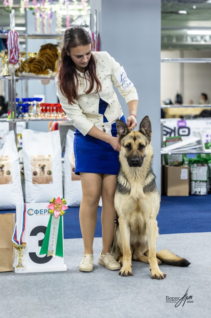 ХЕЙЛАНА ИЗ НОВОЙ ИМПЕРИИ — Юный Чемпион России